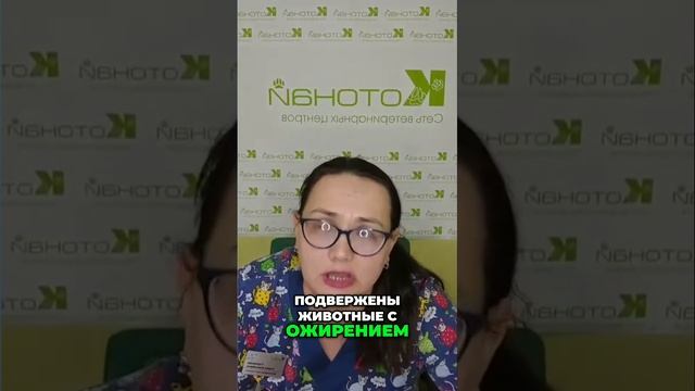 Как высокие ферменты печени влияют на здоровье