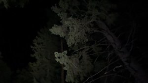 Fenix HP25R V2.0. Часть вторая. А так же краткое сравнение с Nitecore NU43.