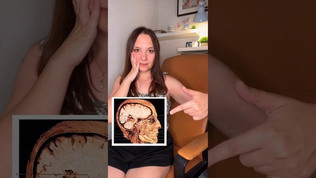 Мозг управляет… #германскаяноваямедицина #гнм #психосоматика