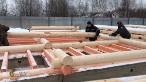 Строительство дома из оцилиндрованного бревна. «Вишняково» - Часть 2