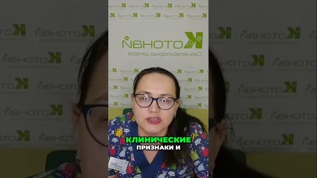 Сахарный диабет у собак и кошек | Важная информация