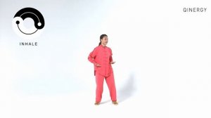 Tai Chi Qigong Shibashi Set 1 (Follow along) _ Mirrored version with breathing timing _