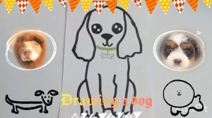 Как нарисовать собаку 🐶🦮
