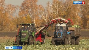 В Курганской области продолжается уборочная кампания