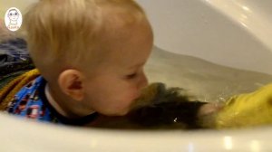 Макс купается в одежде