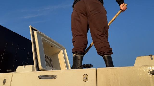 Очередной приход форели!