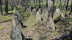 Линия Маннергейма