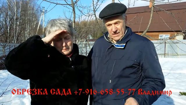 Обрезка сада (плодовых деревьев) отзыв Надежда Павловна и её муж Алексей. Раменский район