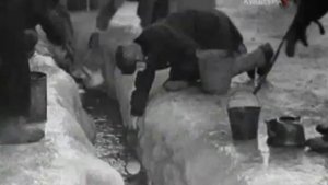 Кинохроника.