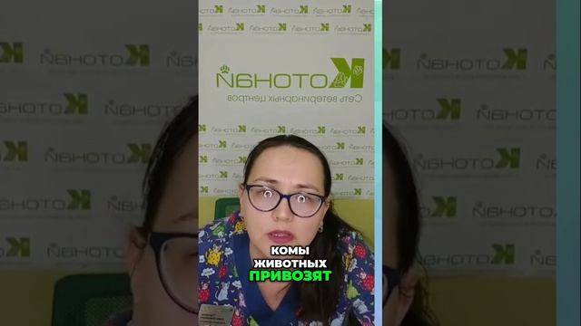 Как распознать и лечить кетоцидоз у животных