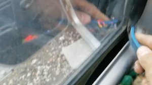 ПРОТИВНЫЙ ЛЯЗГ СТЕКЛА ПРИ ЗАКРЫТИИ ЛЕВОЙ ЗАДНЕЙ ДВЕРИ. ЧТО ТАМ НЕ ТАК? ЗАВОДСКОЙ БРАК?