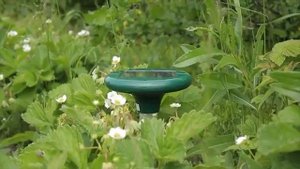 SITITEK Гром Профи LED+   отпугиватель кротов с солнечной батареей