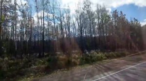 Поездка на 256 Икарусе в Посёлок Мариинск, через Ревду!