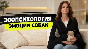 Эмоции собак. Собака улыбается, ревнует, мстит. Как распознать эмоции собаки и что они значат.