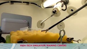 Тюменский государственный медицинский университет (English)