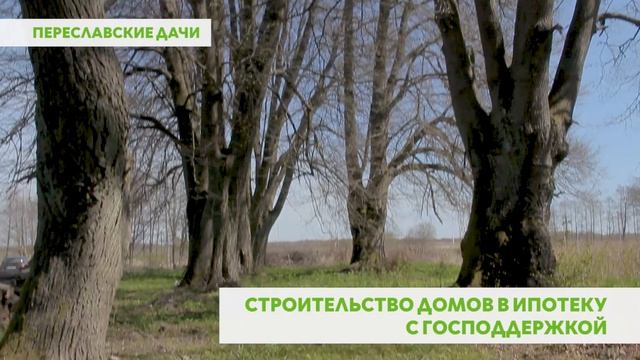 У вас будет свой собственный дом!     #скДоминантика