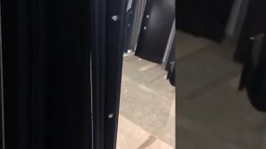 Входная дверь с биометрией