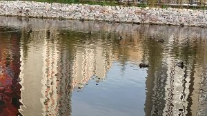 городские зарисовки прогулки