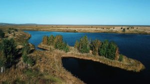 Рыболовное хозяйство в Челябинской области