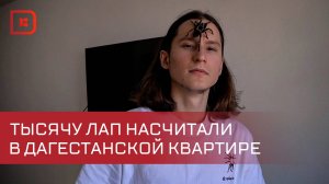 Гамзат Батырханов держит дома больше сотни пауков