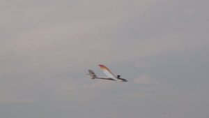 Планер Spirit 100 в динаме. г. Клементьева, п-ов Крым, Россия, 2014 год.