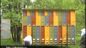 Пчелопавильон Берендей Часть 2