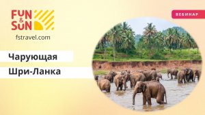 Чарующая Шри-Ланка в 2024 году