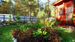 Вохтозеро часть2