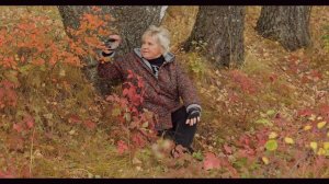 Я тебя не буду искать