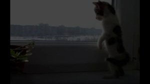 Хотя бы раз