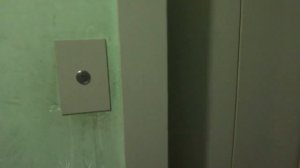 Пассажирские лифты (Поселок Пансионат Клязьминское водохранилище), V=1 м-с, г-п 400 кг (3), муз.лифт