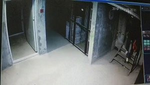 Выломал дверь в подвал
