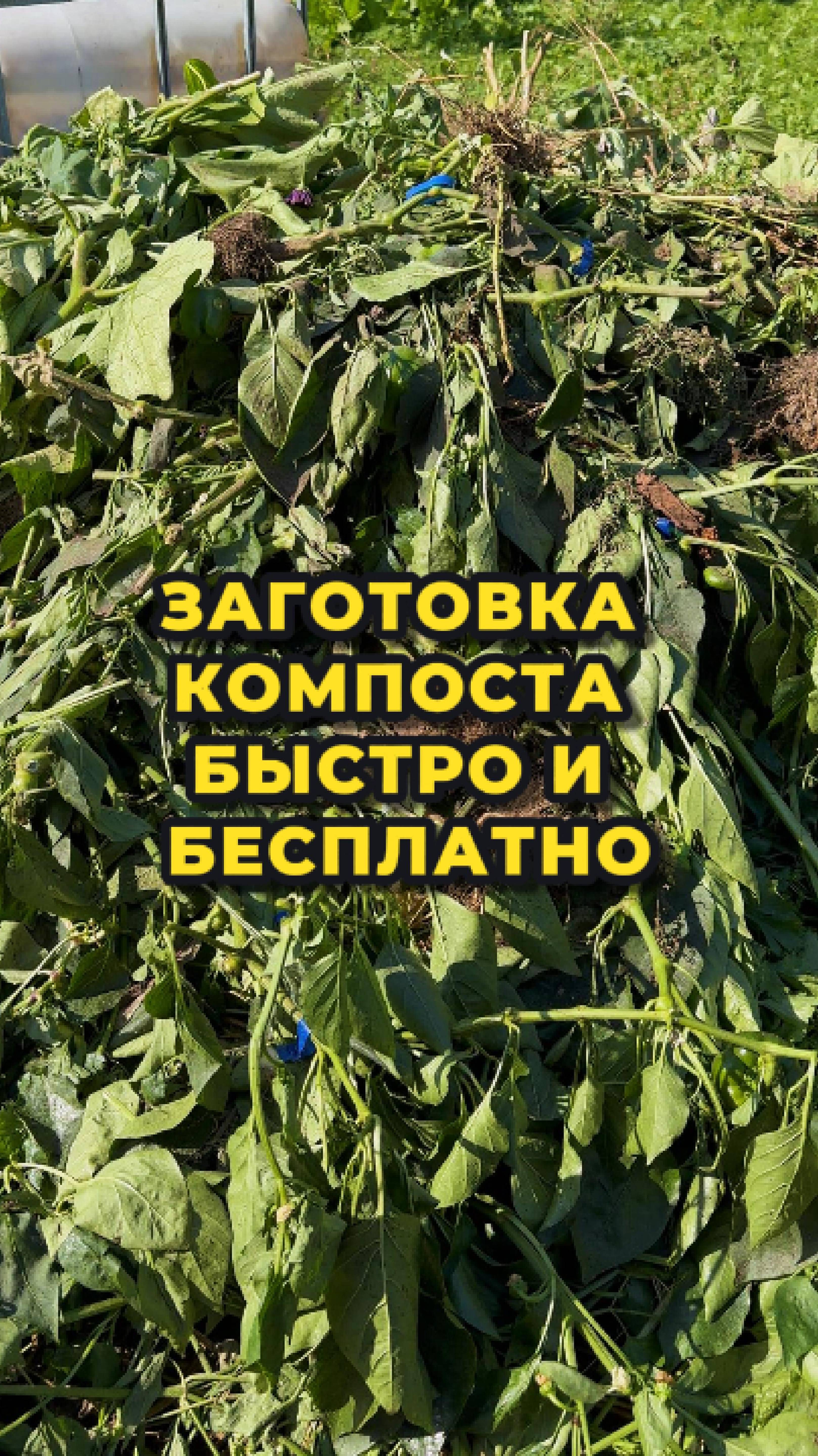 Бесплатное ценнейшее удобрение для вашего участка