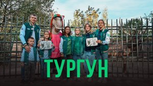 Благородный олень по имени Тургун