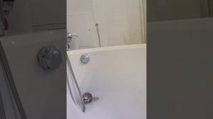 Купаем Матильу Матильда сбежала из ванной