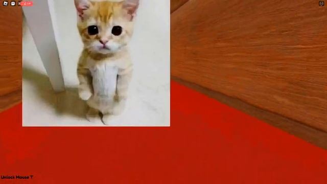 Мемный Дорс смотреть онлайн