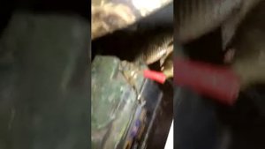 ловля рака сачком ночью