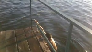 Ржачные прыжки в воду с пирса или "Ты шо снимаешь?"