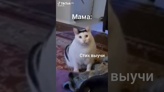 НУ МАМ, КАНИКУЛЫ! #shorts #свили #видео #юмор #школа #каникулы #мемкэт #мама #жиза #дела