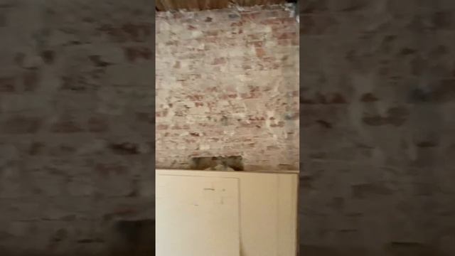 #ремонт #ремонтквартир #дизайнпроект #отделочныеработы #ремонтпола