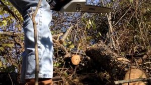 Stihl ms 170 16in review