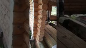 Завалилась стена дома из бревна.