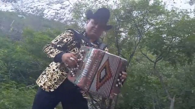 Como te a ido sin mi amor-Carlos balderas y su Acorde de Oro смотреть онлайн