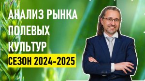 Анализ рынка полевых культур в сезоне-2024/25