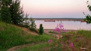 Благородно несёшь воды ты, украшение природы, Печора-река.
Песня Галины Сугаковой.