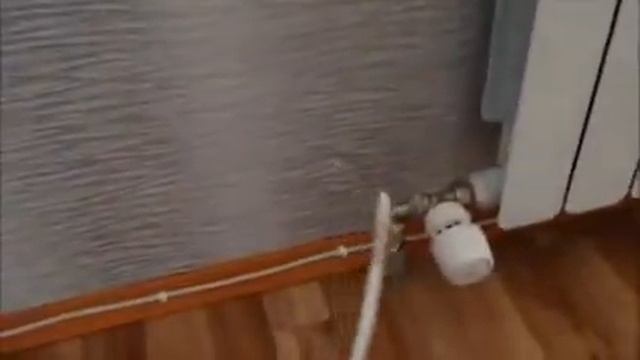 Аренда 1-к квартиры Сайдашева 15 смотреть онлайн