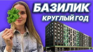 Разбираем ЖК Базилик в Краснообске // спальный район Новосибирска