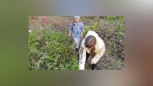 ЭкоСемья.mp4