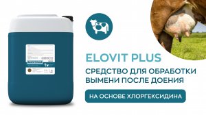 Средство для обработки вымени после доения на основе хлоргексидина - ELOVIT PLUS