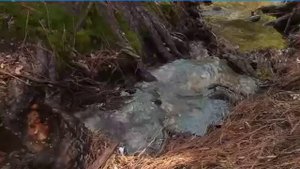 Power up 3 Unit 4 Cross-cur